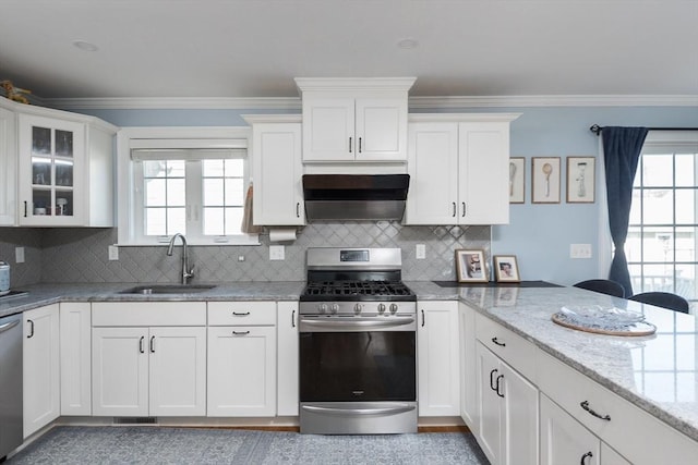 27 Mill St Unit B, Quincy, MA 02169 - kitchen featuring stainless steel appliances, a sink, exhaust hood, white cabinetry, and crown molding