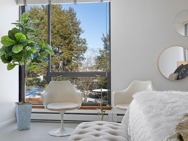 interior space with carpet floors, a wealth of natural light, and baseboard heating