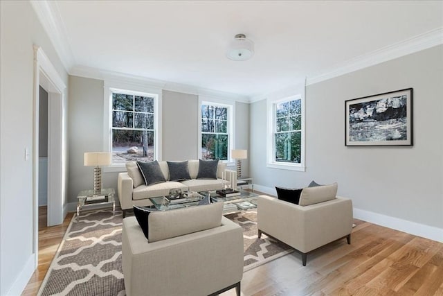 living room featuring ornamental molding and light hardwood / wood-style flooring