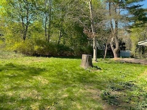 101 Highfields Rd, Abington, MA 02351 - view of green lawn