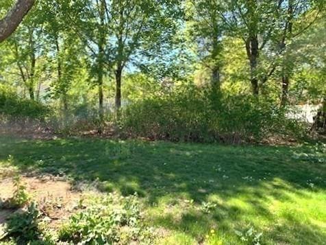 101 Highfields Rd, Abington, MA 02351 - view of green lawn