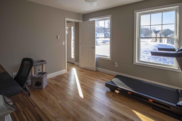 office space featuring wood finished floors and baseboards