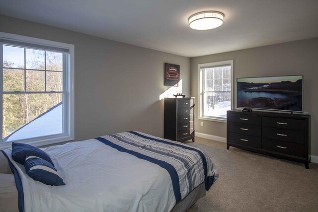 bedroom featuring light carpet, multiple windows, and baseboards