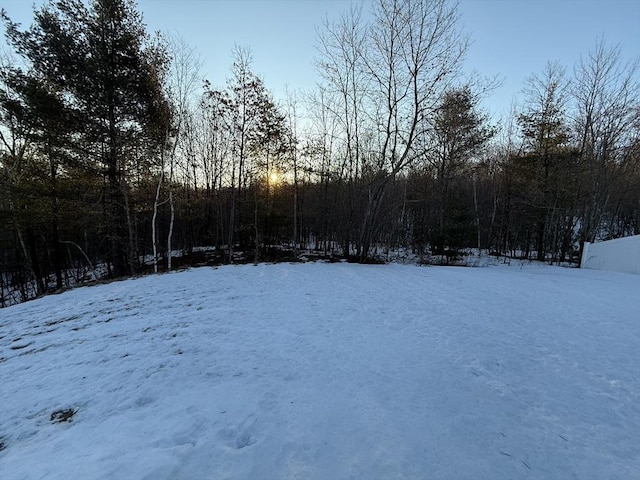 view of yard covered in snow