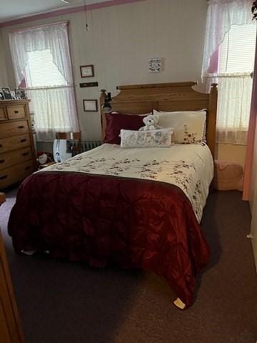 carpeted bedroom with multiple windows