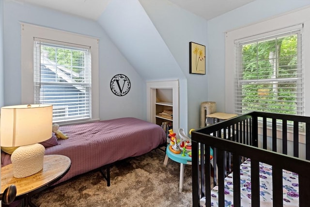 20 Saint Elmo Rd, Worcester, MA 01602 - carpeted bedroom featuring lofted ceiling