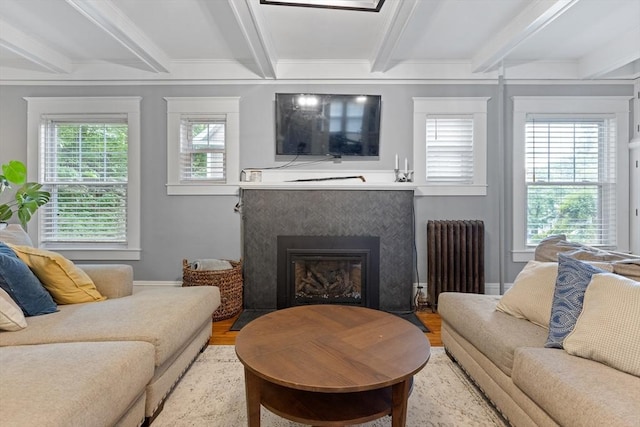 20 Saint Elmo Rd, Worcester, MA 01602 - living area featuring radiator heating unit, beamed ceiling, wood finished floors, a glass covered fireplace, and baseboards
