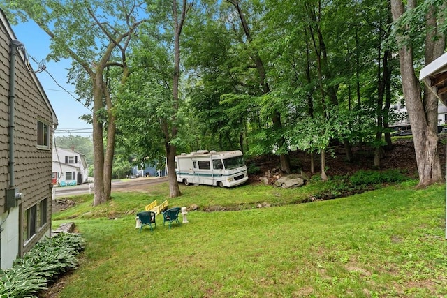 44 Drexel St, Worcester, MA 01602 - view of green lawn