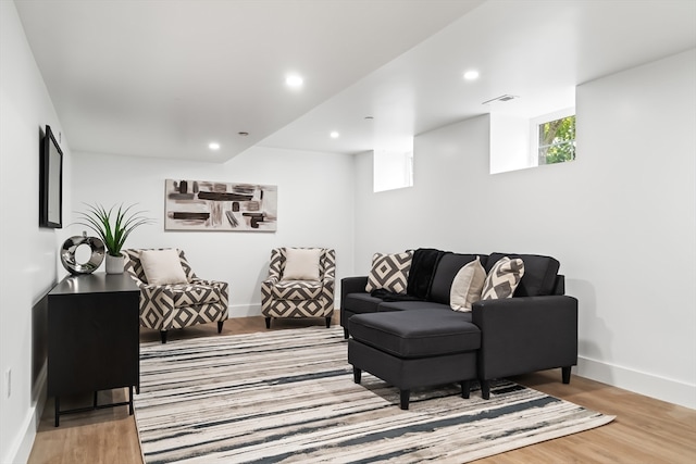 living room featuring wood-type flooring