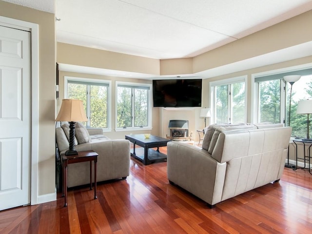 living area featuring dark wood finished floors and a fireplace