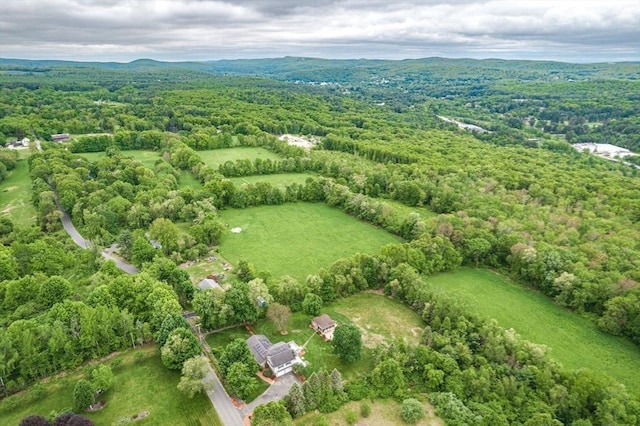 98 Town Farm Rd, Monson, MA 01057 - aerial view of a heavily wooded area