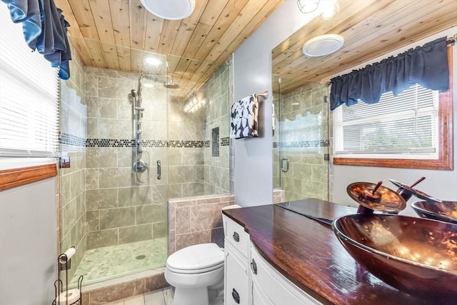 98 Town Farm Rd, Monson, MA 01057 - full bath with a stall shower, wood ceiling, toilet, plenty of natural light, and vanity
