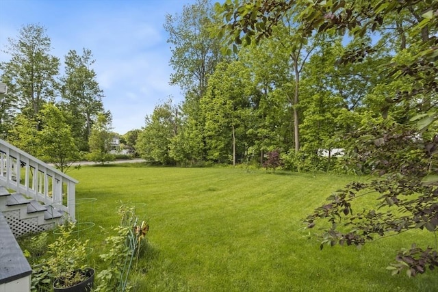 5 Mackenzie Way Unit 5, Haverhill, MA 01832 - view of grassy yard