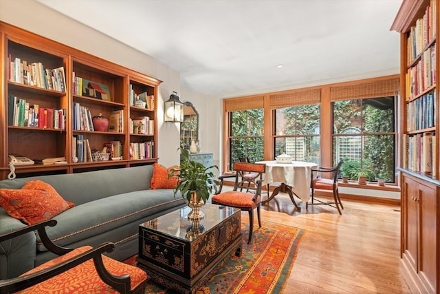 sitting room featuring light hardwood / wood-style flooring and a wealth of natural light