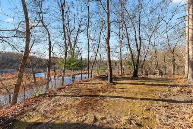 exterior space with a wooded view