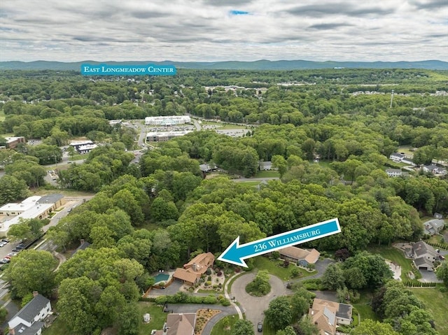 236 Williamsburg Dr, Longmeadow, MA 01106 - drone / aerial view of a heavily wooded area