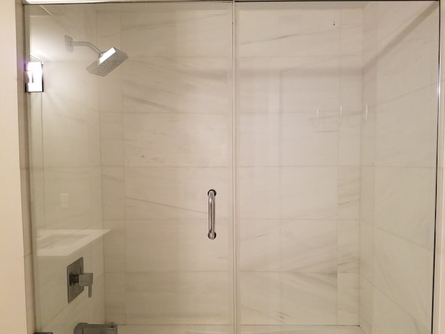 bathroom featuring a shower with shower door