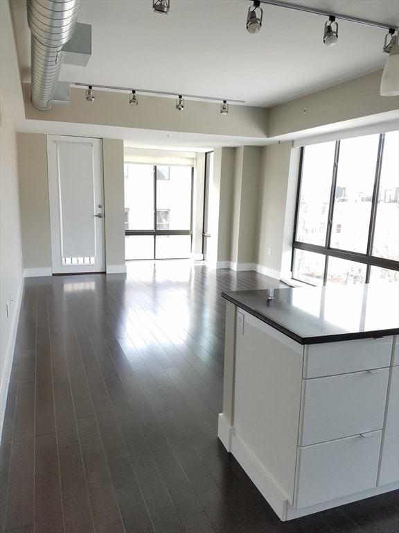 kitchen with dark hardwood / wood-style flooring, white cabinets, and rail lighting