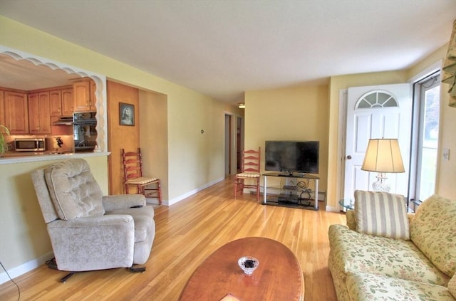 31 Lee Ave, Fitchburg, MA 01420 - living room with light wood-style flooring and baseboards