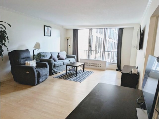 99 Pond Ave Unit 608, Brookline, MA 02445 - living room with wood finished floors and crown molding