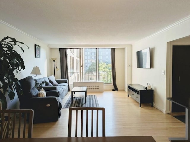99 Pond Ave Unit 608, Brookline, MA 02445 - living room featuring ornamental molding and light wood-style flooring