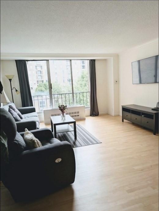 99 Pond Ave Unit 608, Brookline, MA 02445 - living area with light wood-style floors, radiator, and a textured ceiling