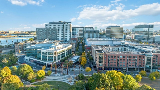 property's view of city