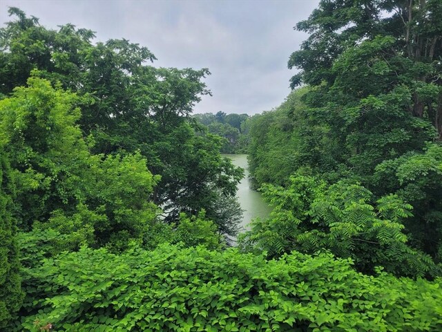 436 Brown St, Attleboro, MA 02703 - water view featuring a heavily wooded area