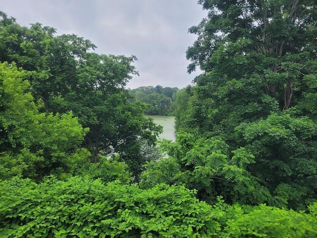 436 Brown St, Attleboro, MA 02703 - water view with a forest