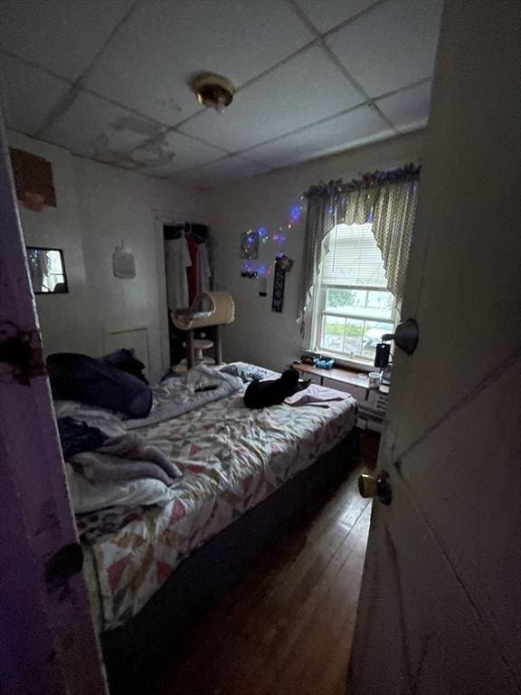 bedroom with a paneled ceiling and wood finished floors