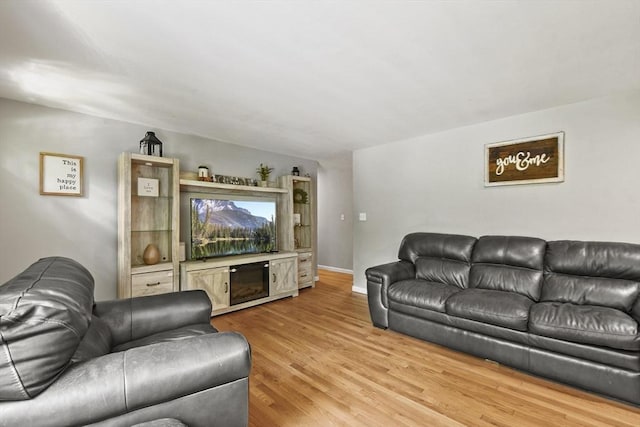 180 Slab Bridge Rd, Freetown, MA 02702 - living room featuring light wood-style flooring