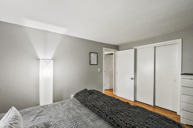 180 Slab Bridge Rd, Freetown, MA 02702 - bedroom with light wood-style floors and a closet