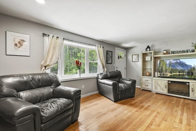 180 Slab Bridge Rd, Freetown, MA 02702 - living room with light wood finished floors and baseboards