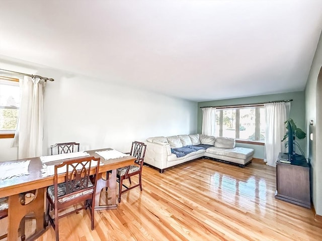 living area featuring light wood finished floors