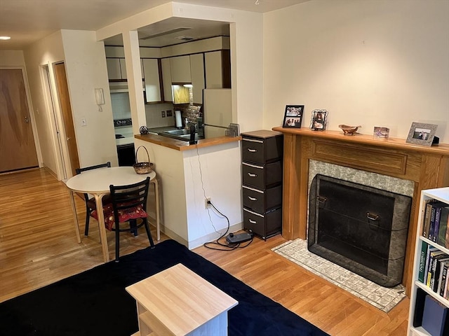87 Gainsborough St Unit 202, Boston, MA 02115 - living area featuring light wood finished floors and a fireplace