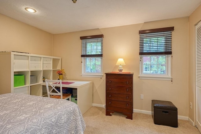 280 Elm St Unit 26, Marlborough, MA 01752 - bedroom with carpet floors and baseboards