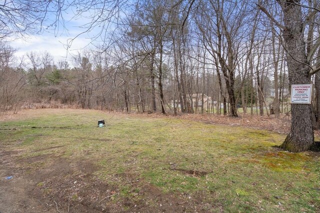 160 Shrewsbury St, Holden, MA 01520 - view of yard