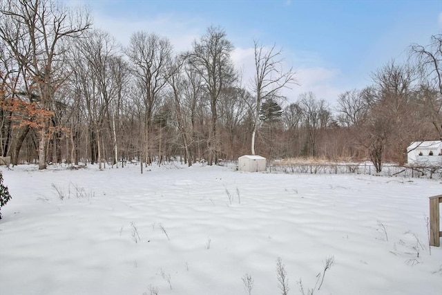 view of yard covered in snow