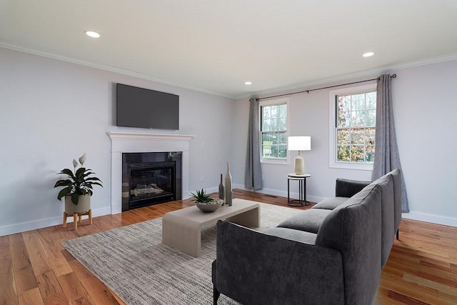 living room with light hardwood / wood-style flooring and crown molding