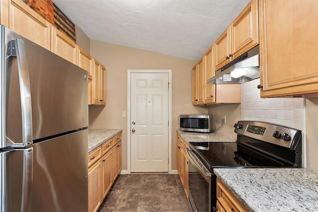 425 Main St Unit 8B, Hudson, MA 01749 - kitchen with stainless steel appliances, under cabinet range hood, lofted ceiling, light stone countertops, and backsplash