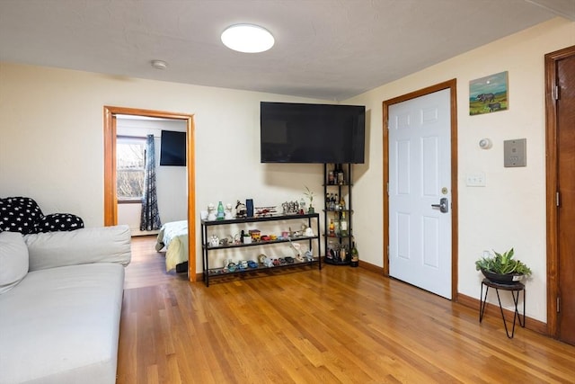 living room with hardwood / wood-style floors