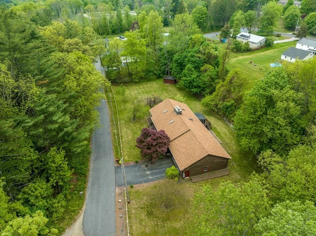 bird's eye view