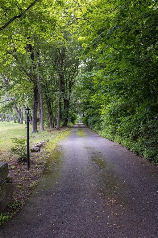 27 N Brigham Hill Rd, Grafton, MA 01536 - view of asphalt road with a forest view