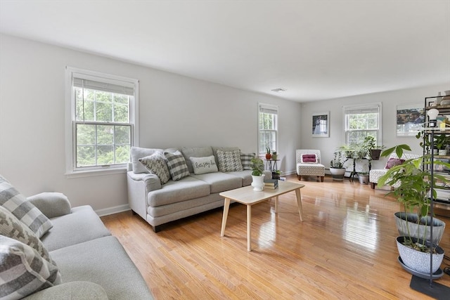 27 N Brigham Hill Rd, Grafton, MA 01536 - living room featuring light wood-style floors and baseboards
