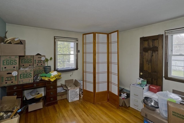 miscellaneous room featuring plenty of natural light and light wood finished floors