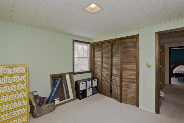 interior space with carpet