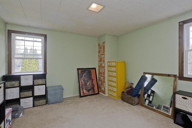 game room with carpet floors