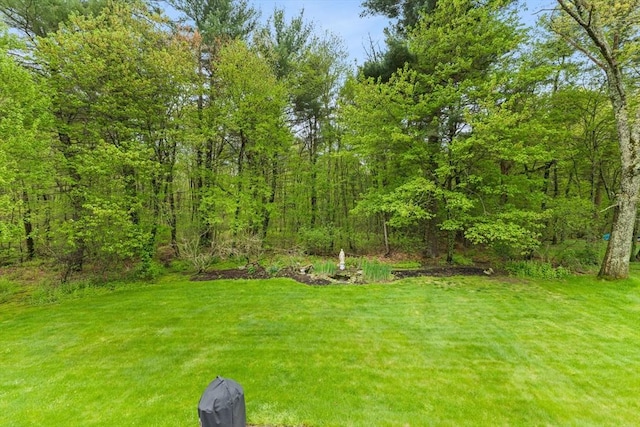 view of green lawn