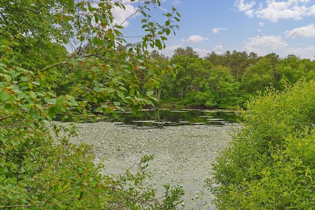 2 Darby Pt Unit 2, Mashpee, MA 02649 - water view with a heavily wooded area