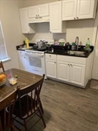 kitchen with under cabinet range hood, white cabinets, and a sink